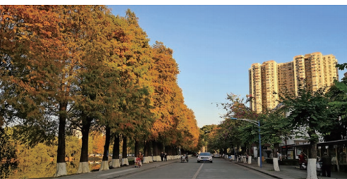 校园风光 校园风光