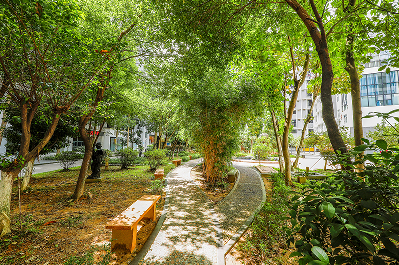 學(xué)校環(huán)境