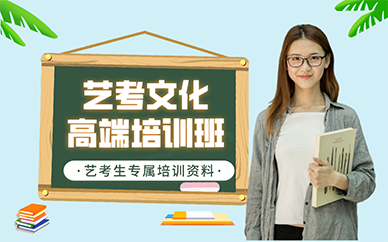南京艺考文化高端培训班