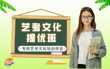 南京艺考文化提优班