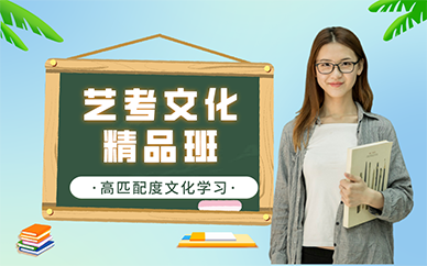 南京艺考文化精品班