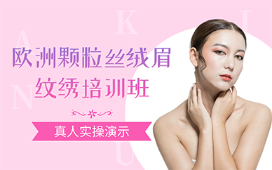 南京欧洲颗粒丝绒眉纹绣培训班