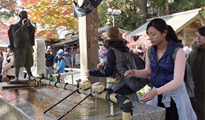 重慶東京國際交流學院服務怎么樣？能提供哪些幫助？