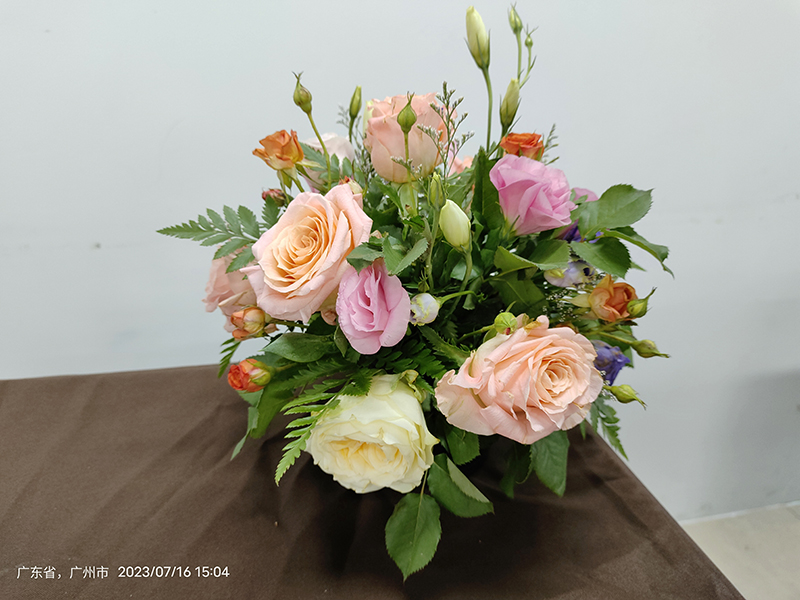 8a3d2441-f192-4093-b7b6-4f1ed4a571a4