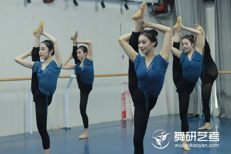 舞蹈训练 舞蹈训练