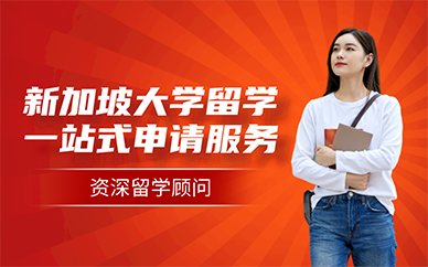 长沙新加坡大学留学一站式申请服务