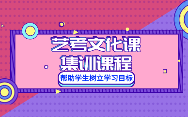 成都艺考文化课集训课程