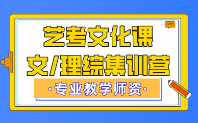 成都艺考文化课文/理综集训营