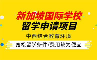 长沙新加坡国际学校留学申请项目
