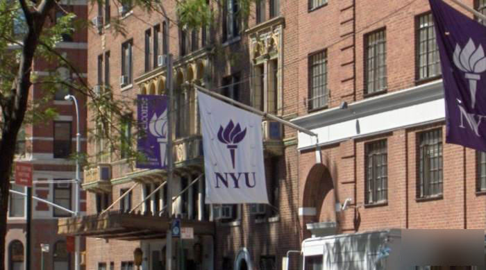 纽约大学
