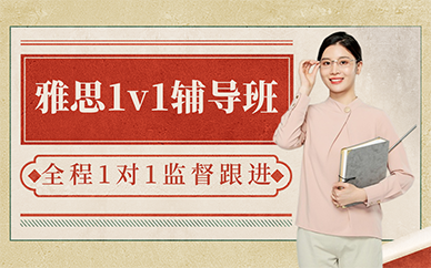 北京雅思1v1輔導(dǎo)班