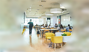 北京粒知教學(xué)怎么樣？如何幫助提升英語水平？