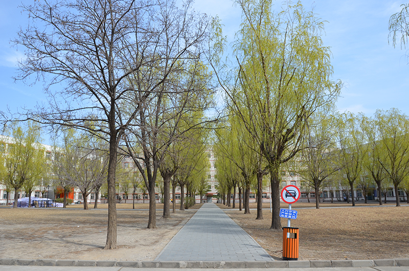 航天桥校园环境