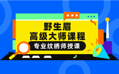 合肥野生眉高级大师课程