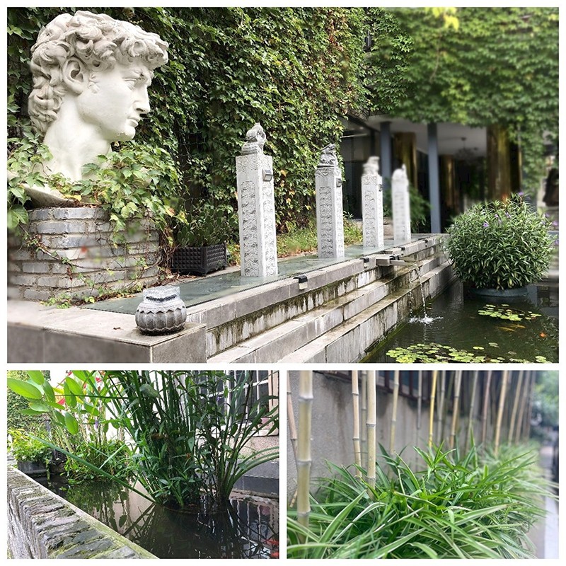 校區(qū)環(huán)境 校區(qū)環(huán)境