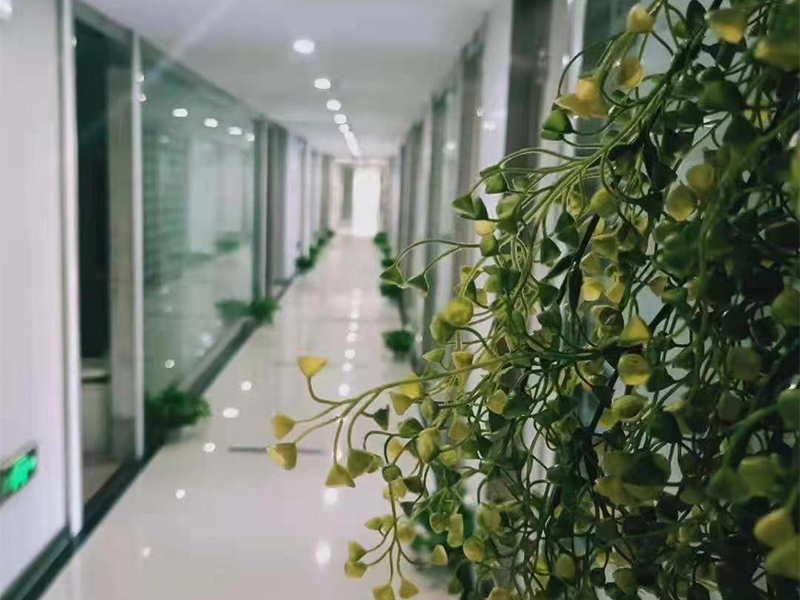 走廊 走廊