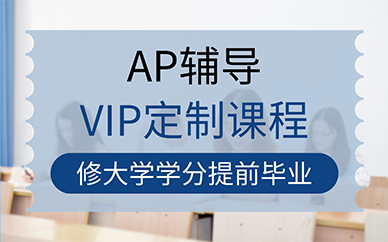 南京AP辅导VIP定制课程