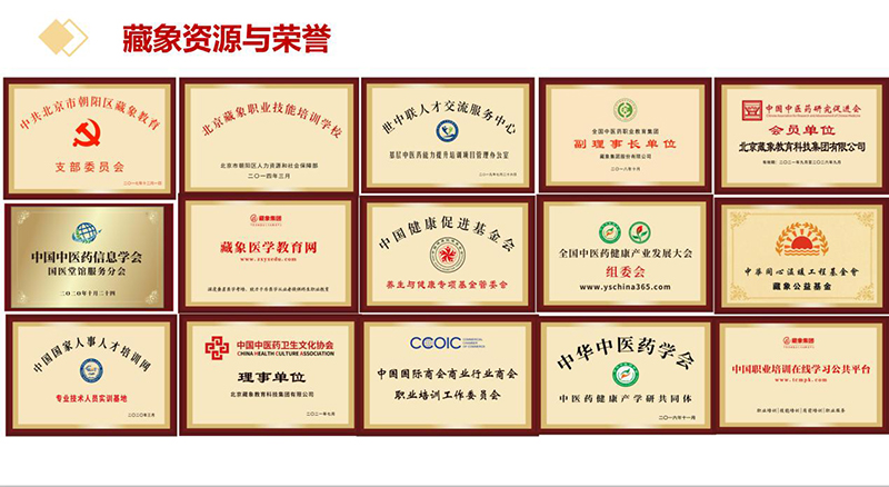 藏象資源與榮譽(yù) 藏象資源與榮譽(yù)