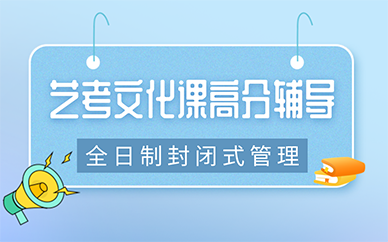 青岛市区艺考文化课高分辅导