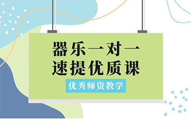 青岛市内器乐一对一速提优质课