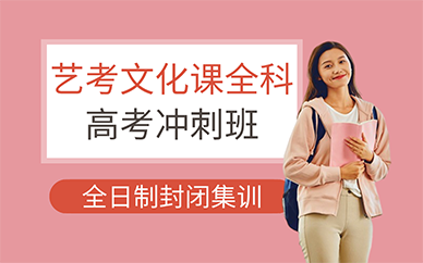 北京艺考文化课全科高考冲刺班