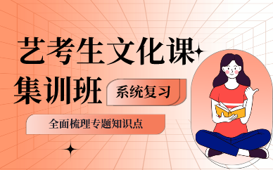 成都艺考生文化课集训班