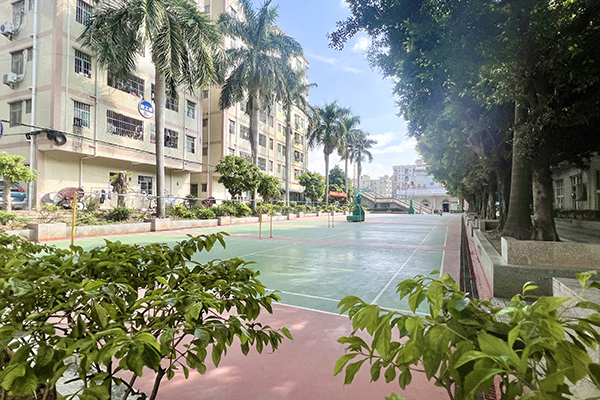 学校篮球场 学校篮球场