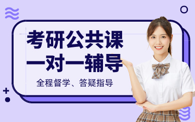 成都考研公共课一对一辅导课程