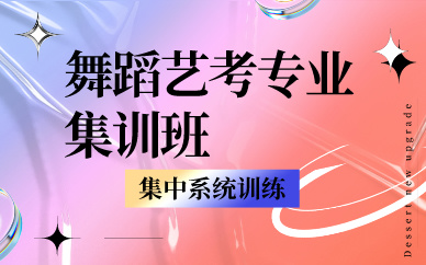 郑州舞蹈艺考专业集训班