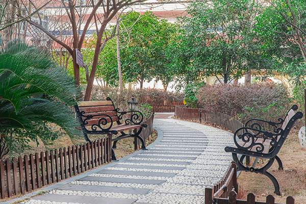 学校后花园 学校后花园