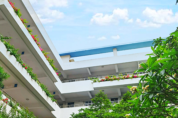 學(xué)校環(huán)境