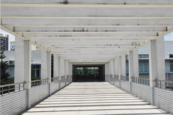 學(xué)校環(huán)境