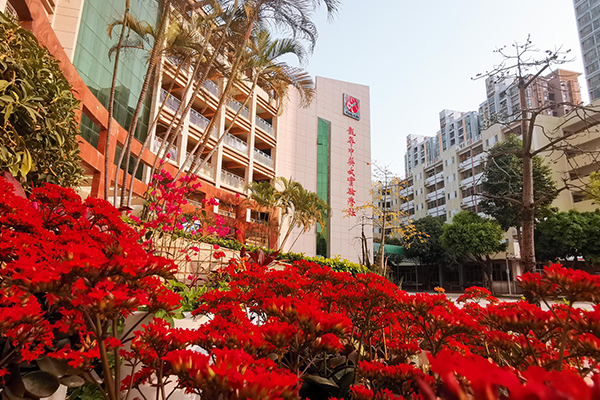 學校校景圖(校園) 學校校景圖(校園)