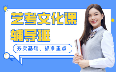 北京藝考文化課輔導班