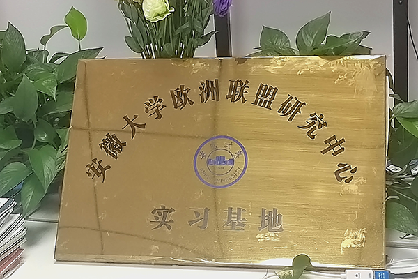 安徽大学欧洲联盟研究中心指定官方合作实习基地 安徽大学欧洲联盟研究中心指定官方合作实习基地