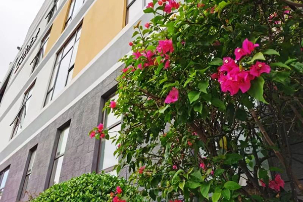 學(xué)校環(huán)境