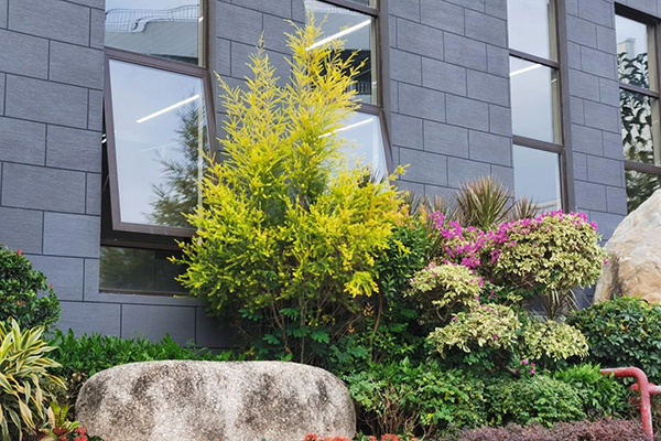 學(xué)校環(huán)境