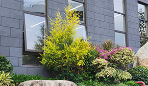 深圳博恒實(shí)驗(yàn)中學(xué)環(huán)境怎樣？學(xué)校環(huán)境如何？