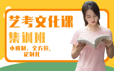 昆明艺考文化课集训班