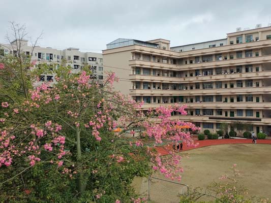 教学楼风景 教学楼风景