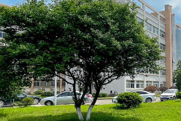 学校一角 学校一角