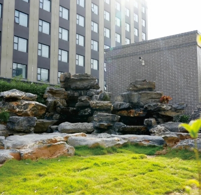 學(xué)校環(huán)境