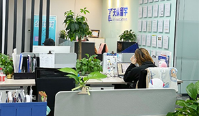 重慶天縱留學服務怎樣？留學咨詢專不專業(yè)？