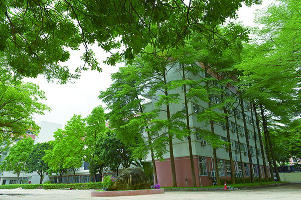 教学楼侧面 教学楼侧面
