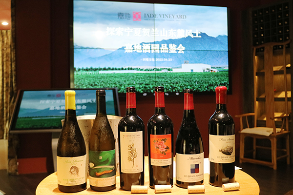 品鉴会 品鉴会