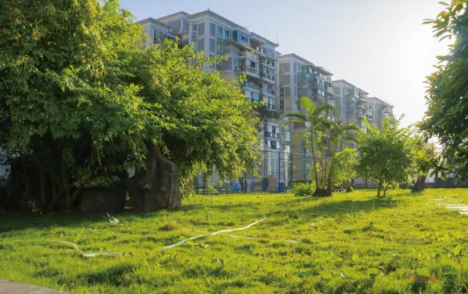 休闲区域 休闲区域