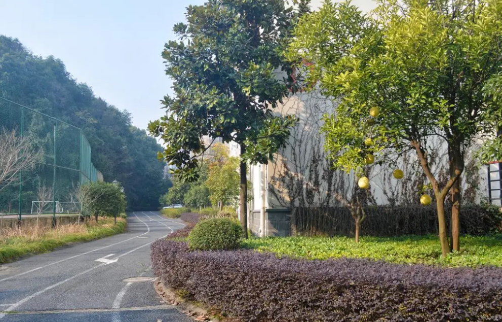 學(xué)員綠化 學(xué)員綠化