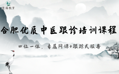 合肥优质中医跟诊培训课程