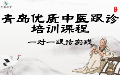 青岛优质中医跟诊培训课程