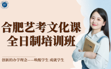 合肥艺考文化课全日制培训班